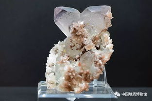 中國礦物精品2018展覽即將在中國地質(zhì)博物館開幕——礦物加工技術(shù)同期展示亮點(diǎn)前瞻